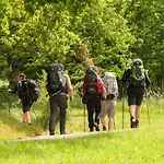 Landgasthof Oberschnorrhof Dammbach