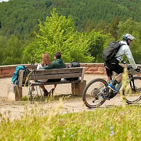 ホテル Landgasthof Oberschnorrhof 3*